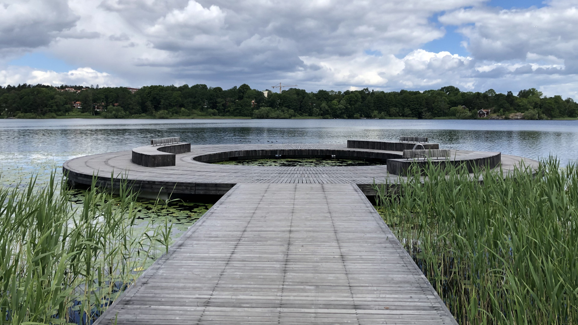 Träbrygga i cirkelform vid en sjö, med bänkar, vass och träd i bakgrunden.