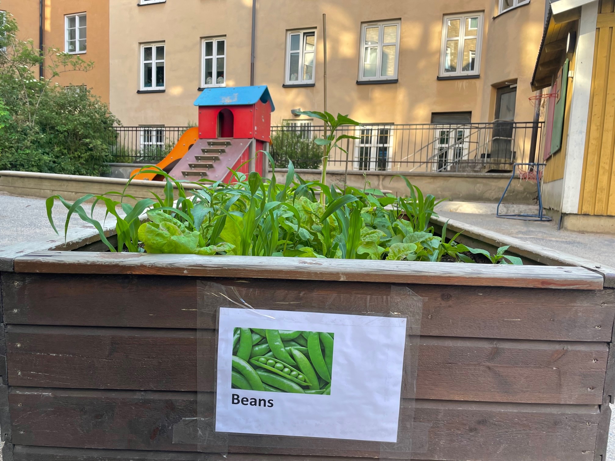 Odlingslåda på gården.