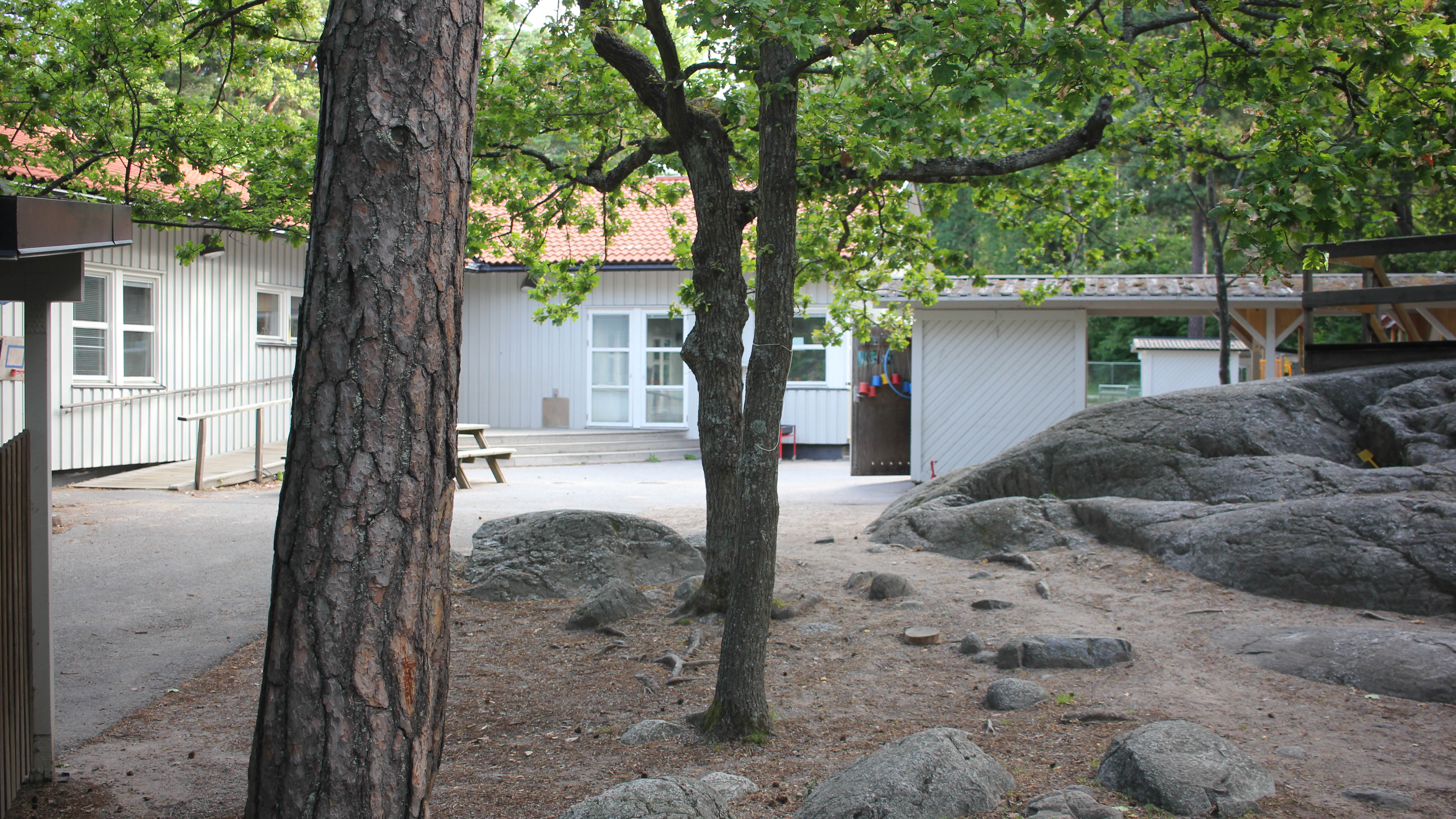 Barnasinnet