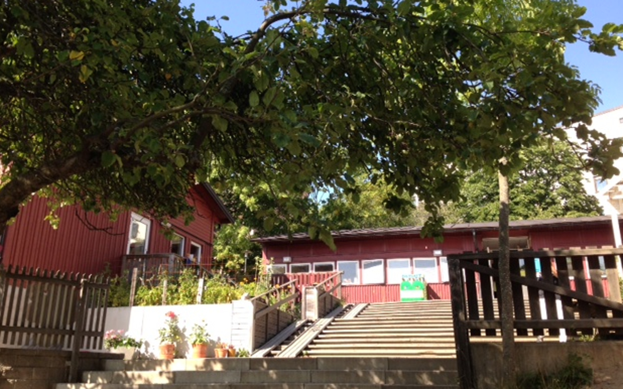 Sachsgatans gård i full grönska.