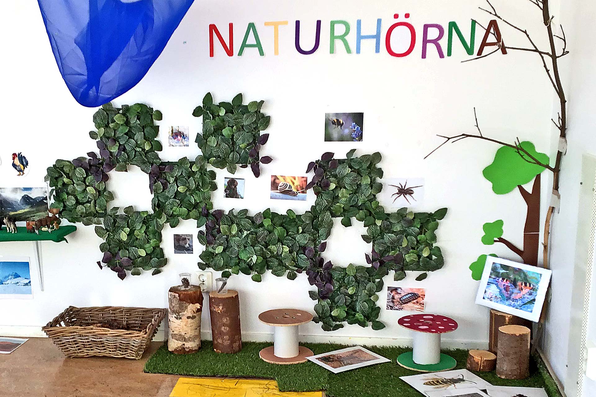 Naturhörna