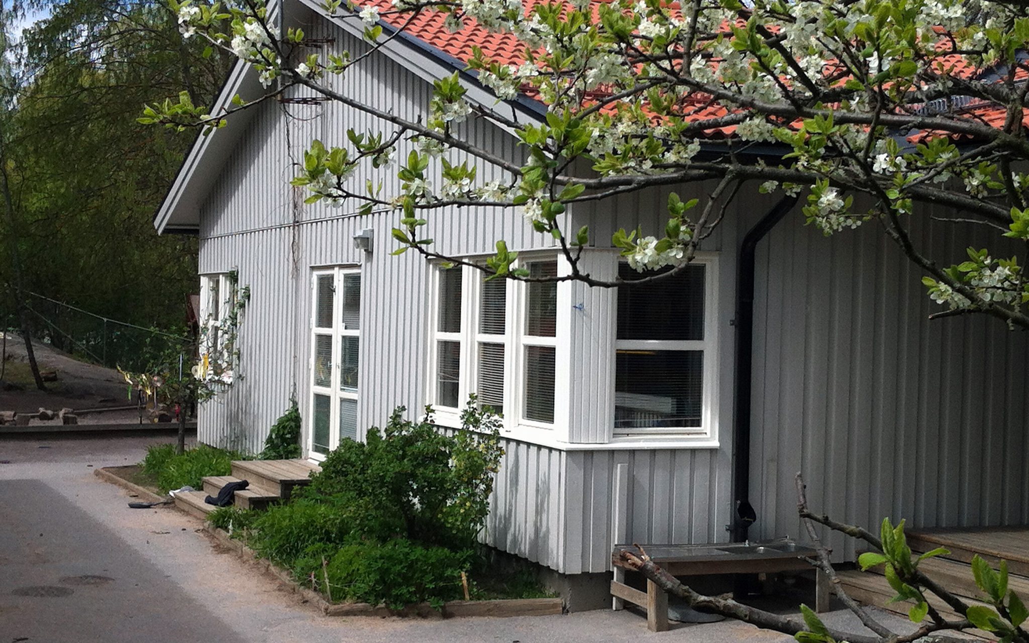 Gaveln på förskolehuset med blommande trädgrenar i förgrunden.