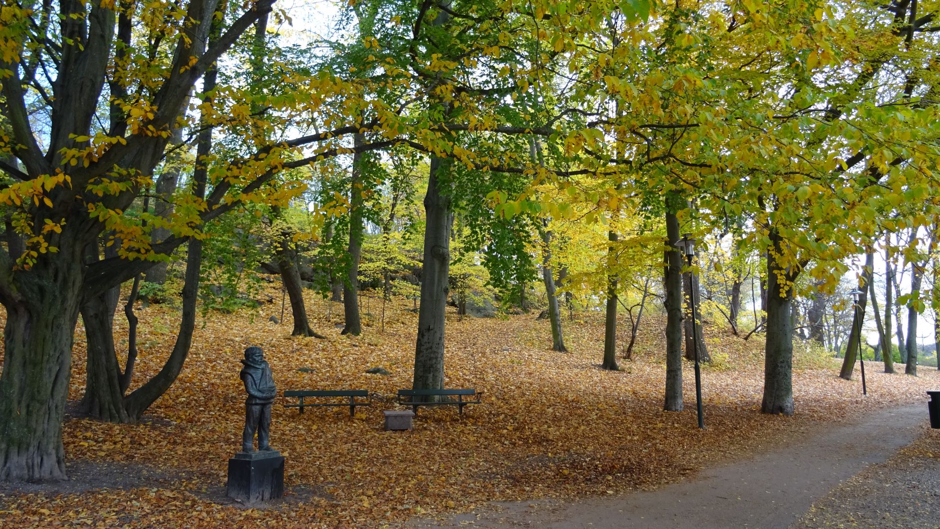 En park med höstlöv.