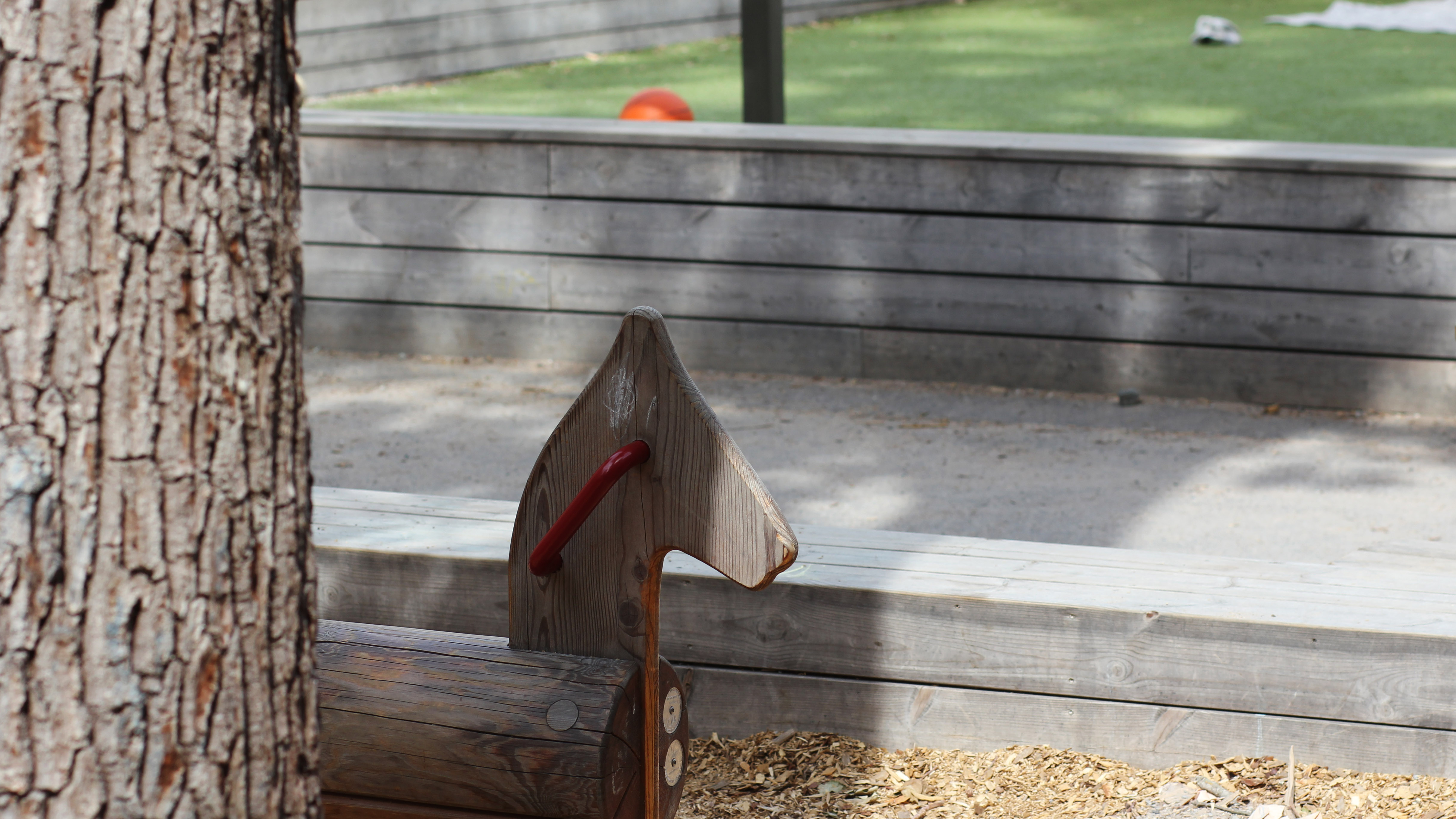Trähäst intill en trästam. Bakom skymtas en gräsyta bakom en stenmur.