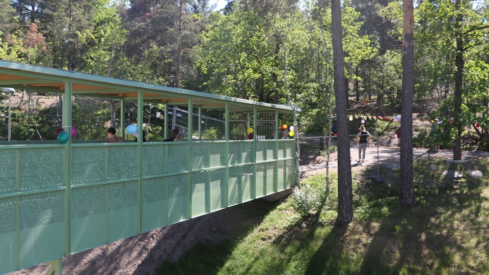 Berget