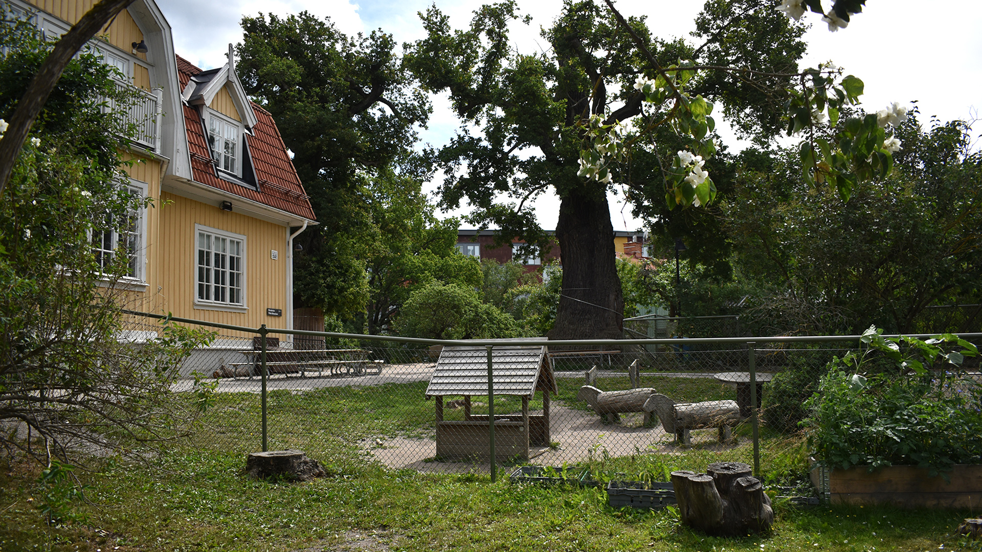 En gräsplätt med liten lekplats i mitten. En litet trähus och två trädjur. I bakgrunden träd, buskar och en gulmålad träfasad.