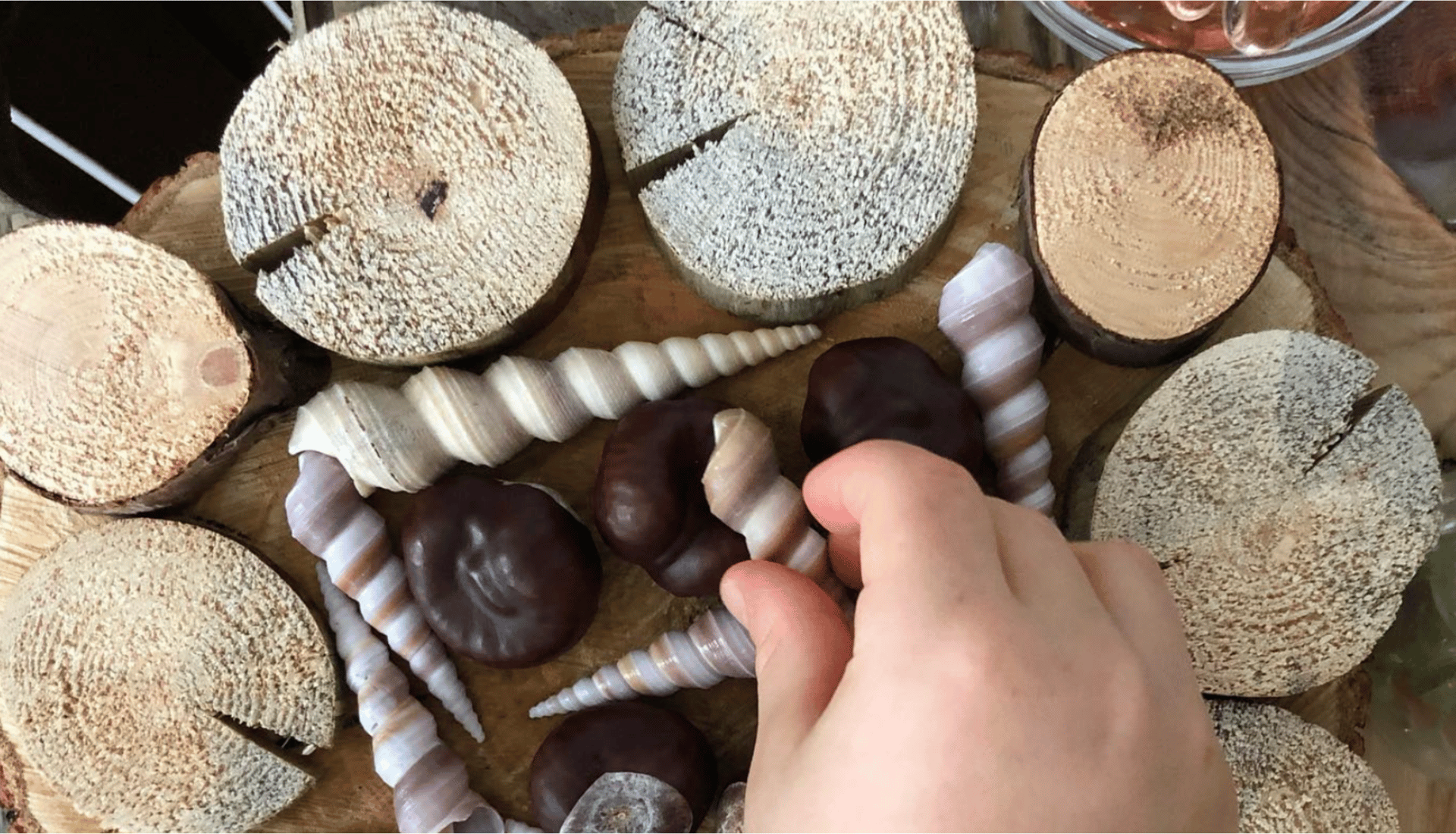 En hand som arrangerar snäckor och kastanjer på ett träunderlägg, blandade naturmaterial för lek i förskolemiljö.